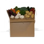 Large Vegetable Box for 3-4 People