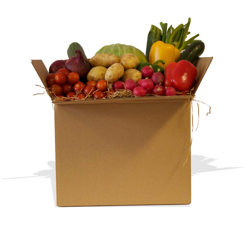 Large Salad Vegetable Box for 3-4 People