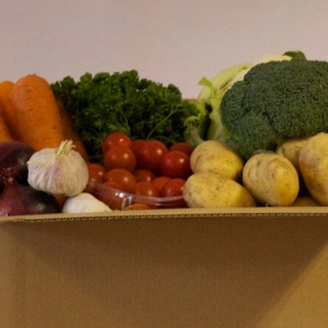 Large Vegetable Box for 3-4 People